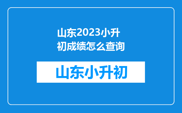 山东2023小升初成绩怎么查询