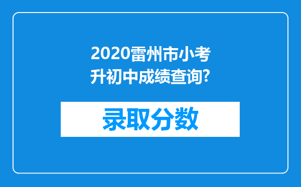 2020雷州市小考升初中成绩查询?