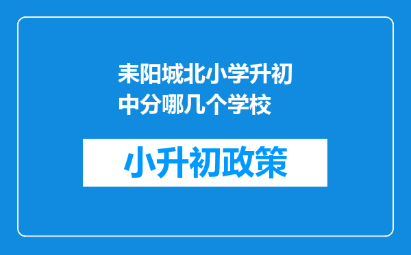 耒阳城北小学升初中分哪几个学校