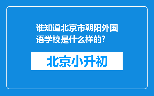 谁知道北京市朝阳外国语学校是什么样的?