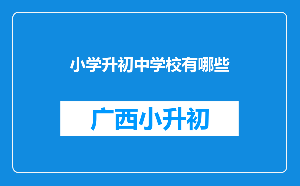 小学升初中学校有哪些