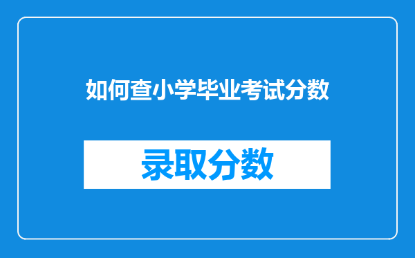 如何查小学毕业考试分数