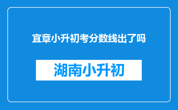 宜章小升初考分数线出了吗