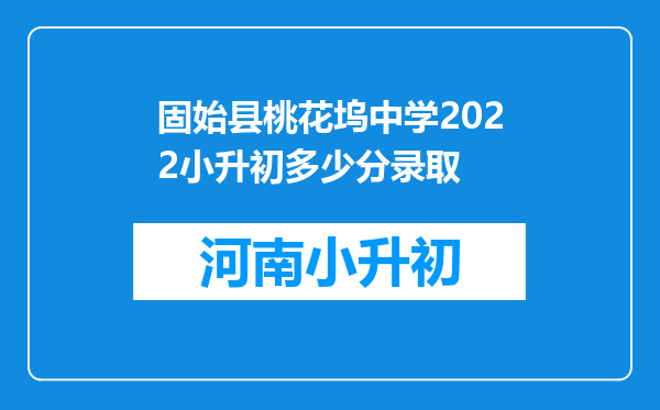 固始县桃花坞中学2022小升初多少分录取