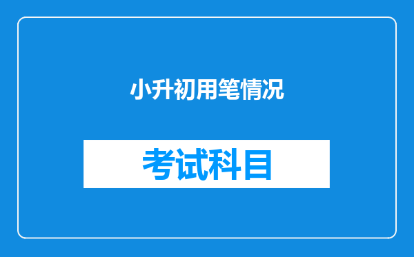 小升初用笔情况