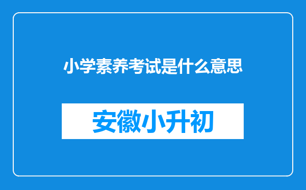 小学素养考试是什么意思