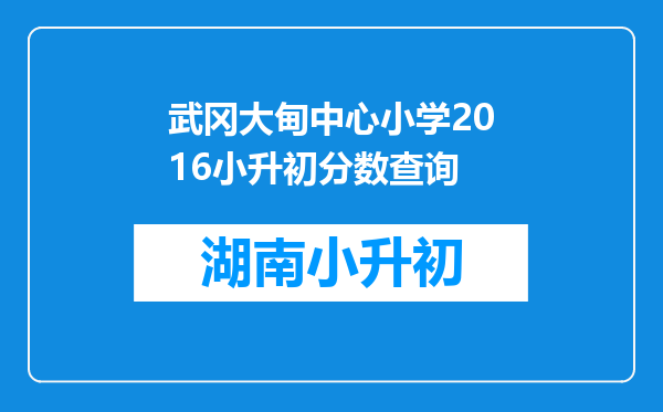 武冈大甸中心小学2016小升初分数查询