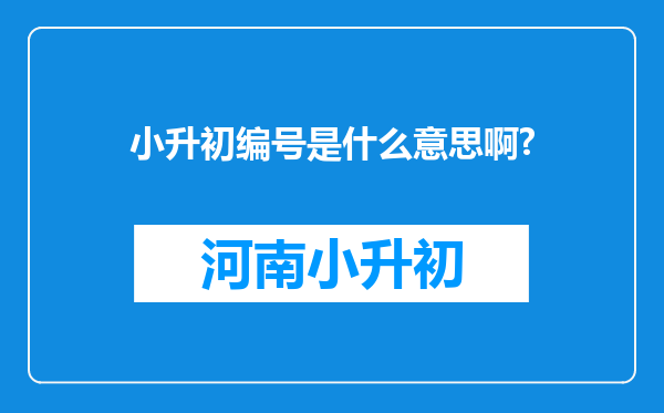 小升初编号是什么意思啊?