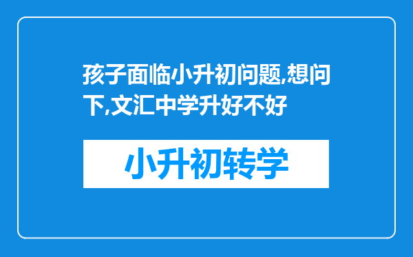 孩子面临小升初问题,想问下,文汇中学升好不好