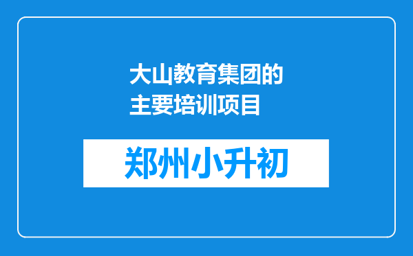 大山教育集团的主要培训项目