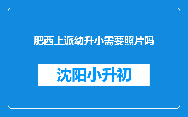 肥西上派幼升小需要照片吗