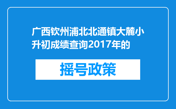 广西钦州浦北北通镇大麓小升初成绩查询2017年的