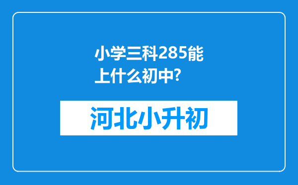 小学三科285能上什么初中?