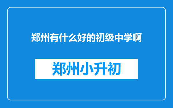 郑州有什么好的初级中学啊