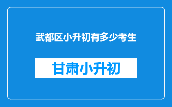 武都区小升初有多少考生