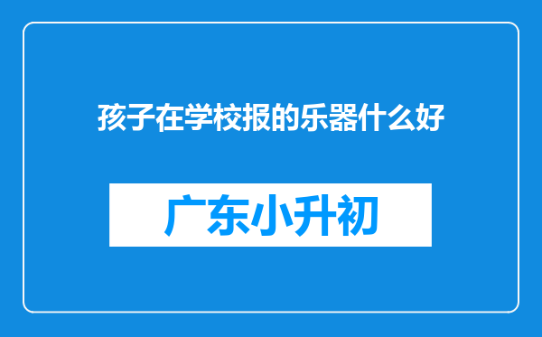 孩子在学校报的乐器什么好