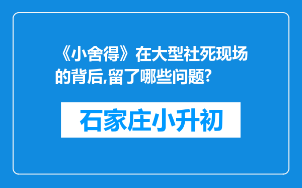 《小舍得》在大型社死现场的背后,留了哪些问题?