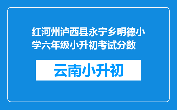 红河州泸西县永宁乡明德小学六年级小升初考试分数