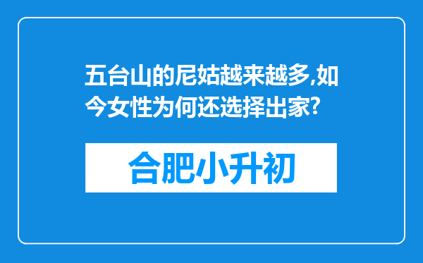 五台山的尼姑越来越多,如今女性为何还选择出家?