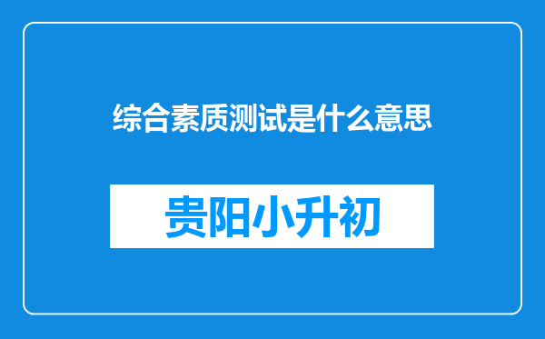 综合素质测试是什么意思