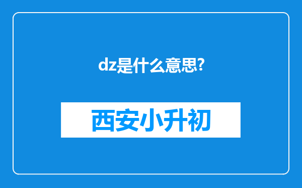 dz是什么意思?