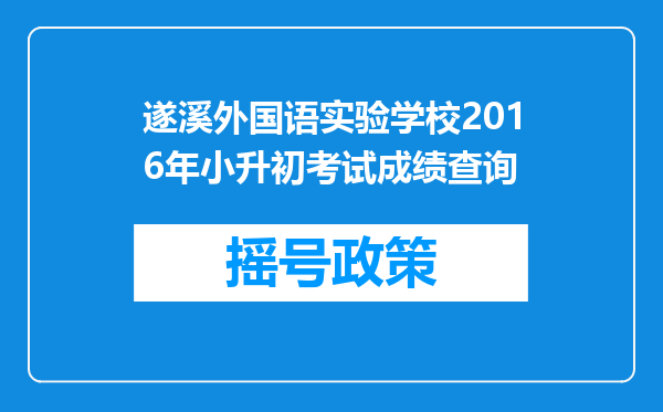 遂溪外国语实验学校2016年小升初考试成绩查询