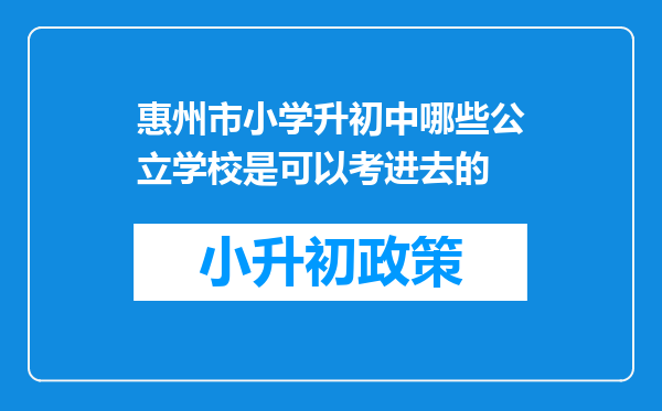 惠州市小学升初中哪些公立学校是可以考进去的