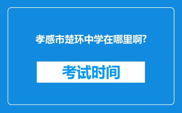 孝感市楚环中学在哪里啊?