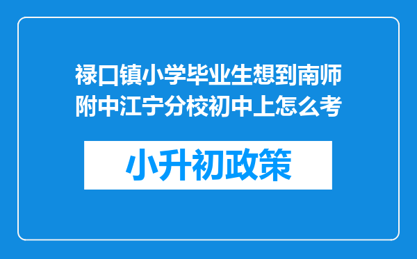 禄口镇小学毕业生想到南师附中江宁分校初中上怎么考