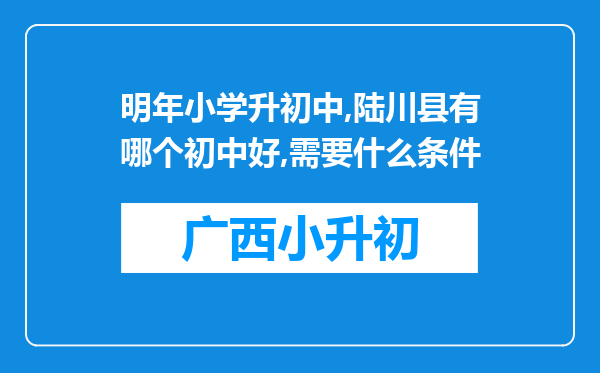 明年小学升初中,陆川县有哪个初中好,需要什么条件