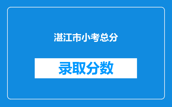 湛江市小考总分