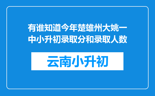 有谁知道今年楚雄州大姚一中小升初录取分和录取人数