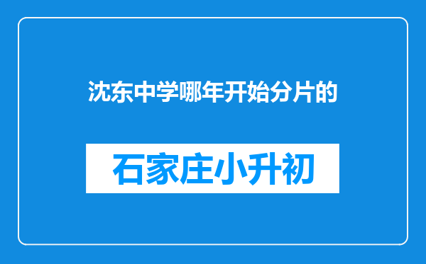 沈东中学哪年开始分片的