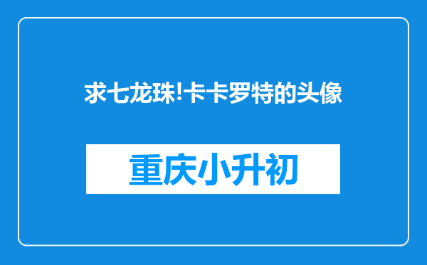 求七龙珠!卡卡罗特的头像