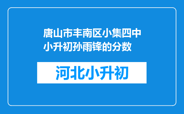 唐山市丰南区小集四中小升初孙雨锋的分数