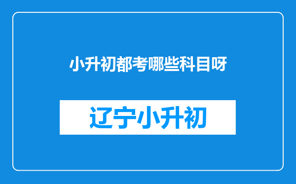 小升初都考哪些科目呀