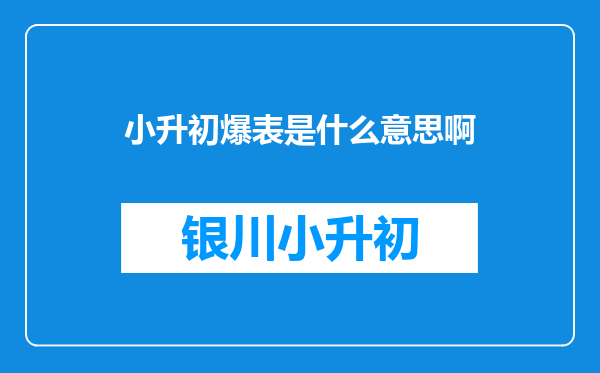 小升初爆表是什么意思啊