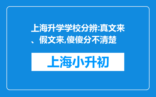 上海升学学校分辨:真文来、假文来,傻傻分不清楚