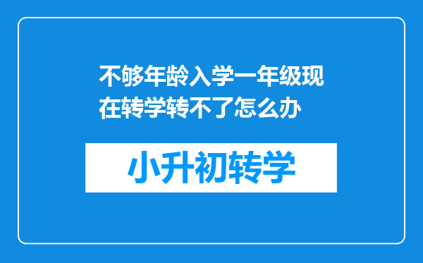 不够年龄入学一年级现在转学转不了怎么办