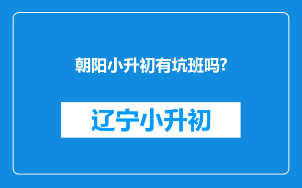 朝阳小升初有坑班吗?