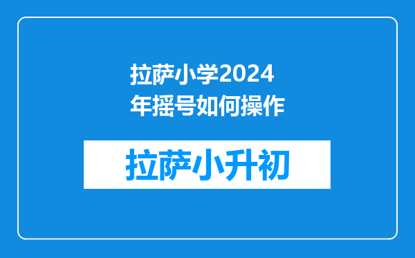 史上最难得的铁皮,一辈子可能都摇不中——2024北京摇号第13个年头