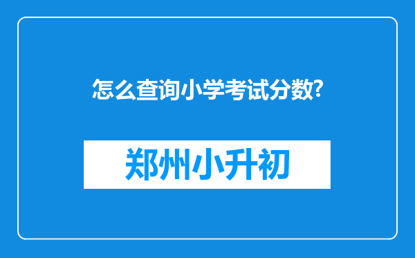 怎么查询小学考试分数?