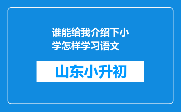 谁能给我介绍下小学怎样学习语文