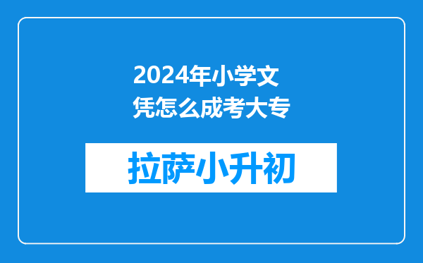 2024年小学文凭怎么成考大专