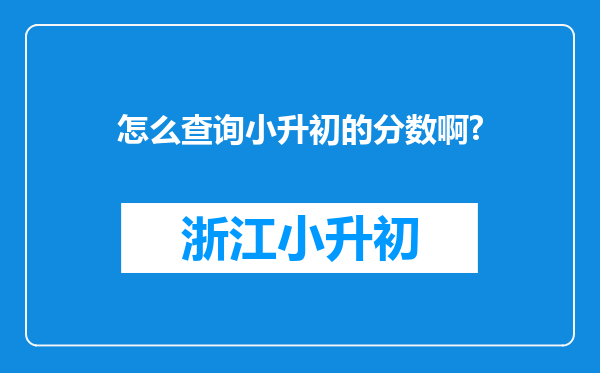 怎么查询小升初的分数啊?