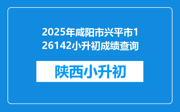 2025年咸阳市兴平市126142小升初成绩查询