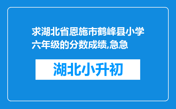 求湖北省恩施市鹤峰县小学六年级的分数成绩,急急