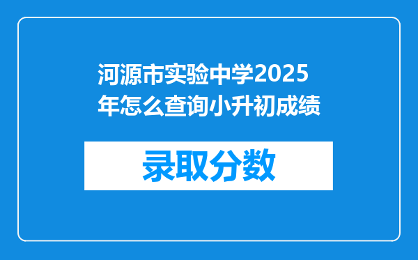 河源市实验中学2025年怎么查询小升初成绩