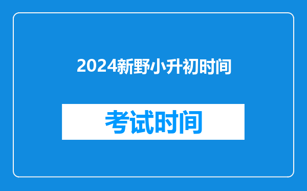 河南省新野县2025年小升初关场小学考号130201019分数