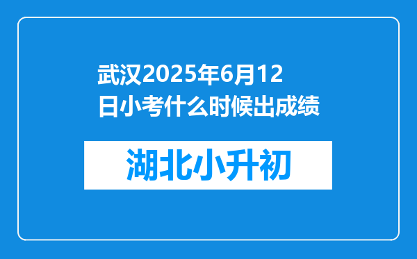 武汉2025年6月12日小考什么时候出成绩